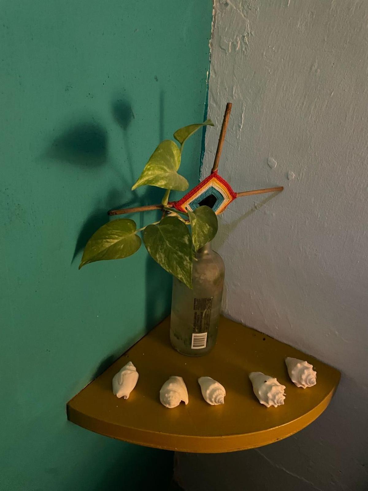 La Casa Del Keej Hostel Merida Luaran gambar